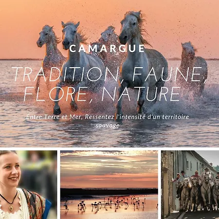 Au Paradis Bleu - Parking Prive - Literie Confortable - Vue Port - A 5 Min *